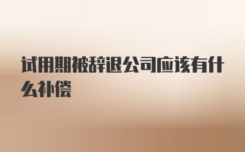 试用期被辞退公司应该有什么补偿