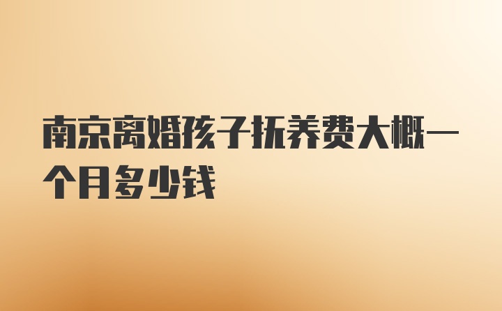 南京离婚孩子抚养费大概一个月多少钱