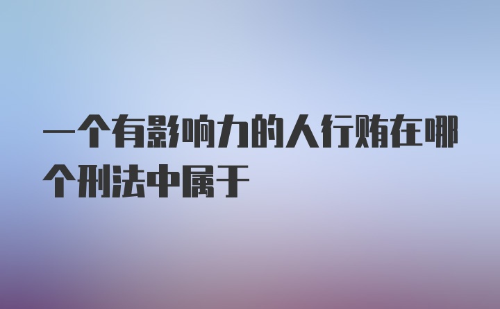 一个有影响力的人行贿在哪个刑法中属于