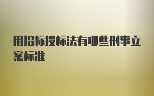 用招标投标法有哪些刑事立案标准