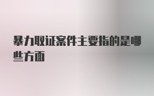 暴力取证案件主要指的是哪些方面