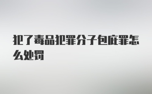 犯了毒品犯罪分子包庇罪怎么处罚