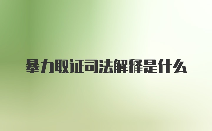 暴力取证司法解释是什么