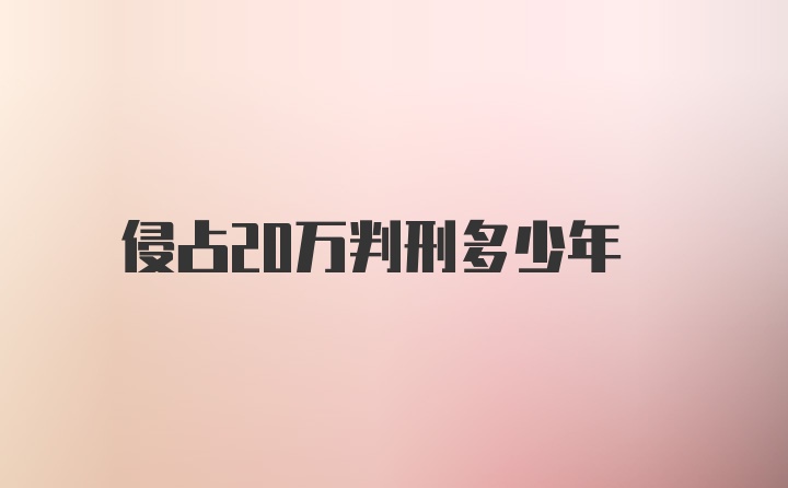 侵占20万判刑多少年