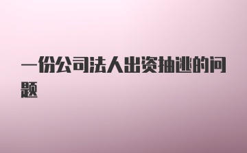 一份公司法人出资抽逃的问题