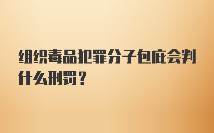 组织毒品犯罪分子包庇会判什么刑罚?