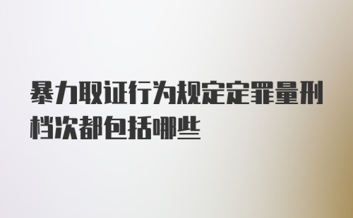 暴力取证行为规定定罪量刑档次都包括哪些