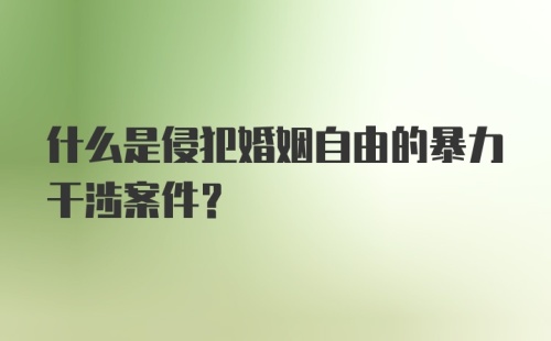 什么是侵犯婚姻自由的暴力干涉案件?