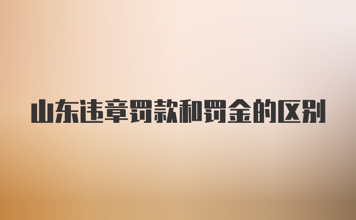 山东违章罚款和罚金的区别