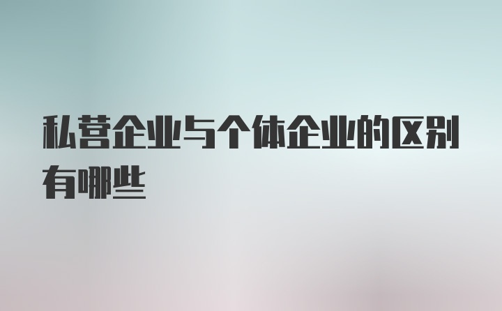 私营企业与个体企业的区别有哪些