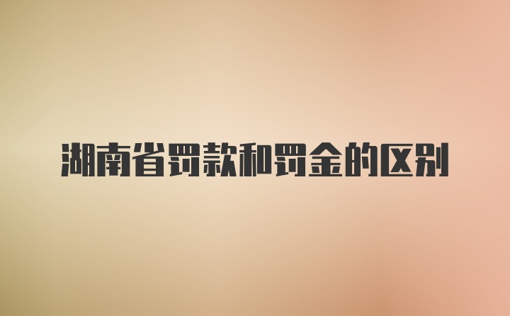 湖南省罚款和罚金的区别