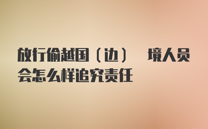 放行偷越国(边) 境人员会怎么样追究责任