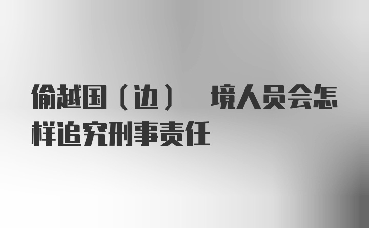 偷越国(边) 境人员会怎样追究刑事责任