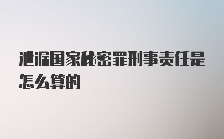 泄漏国家秘密罪刑事责任是怎么算的