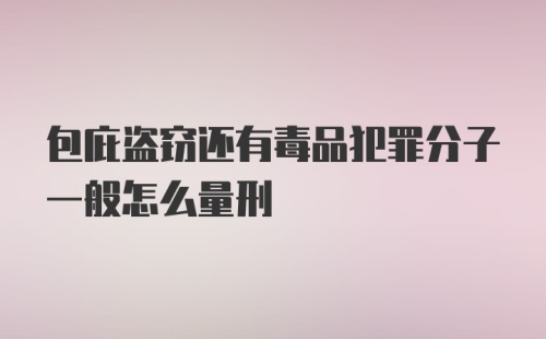 包庇盗窃还有毒品犯罪分子一般怎么量刑