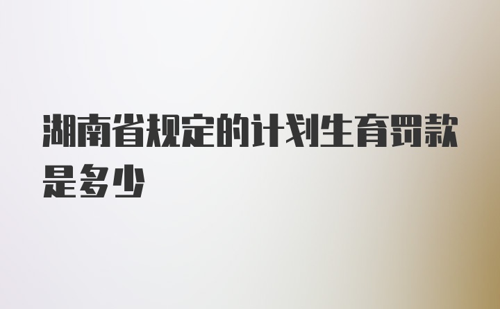 湖南省规定的计划生育罚款是多少