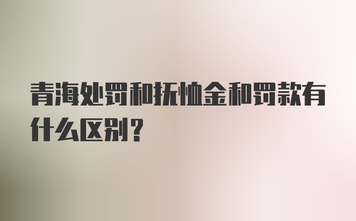 青海处罚和抚恤金和罚款有什么区别？