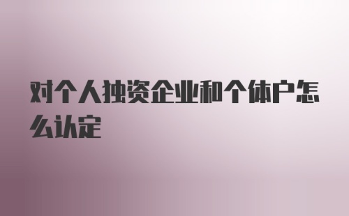 对个人独资企业和个体户怎么认定