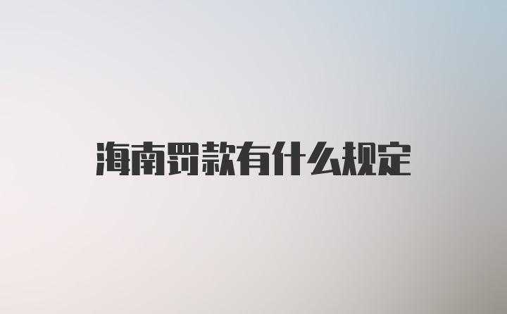 海南罚款有什么规定