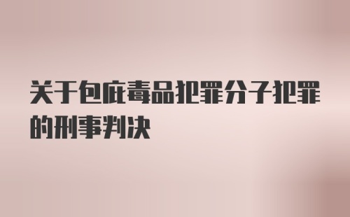 关于包庇毒品犯罪分子犯罪的刑事判决