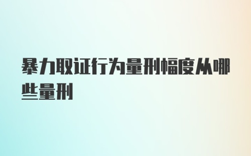 暴力取证行为量刑幅度从哪些量刑