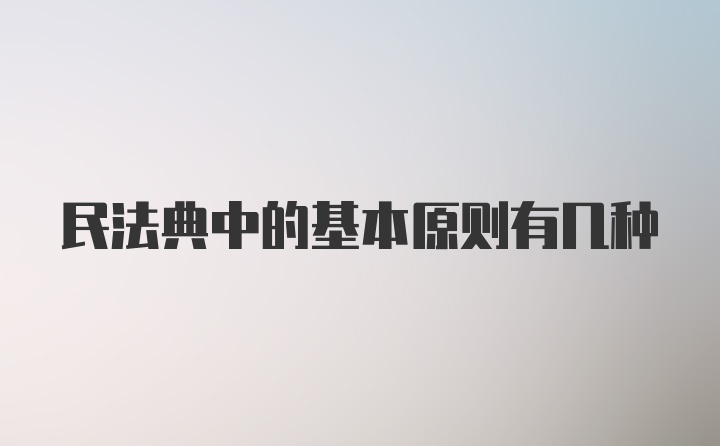 民法典中的基本原则有几种