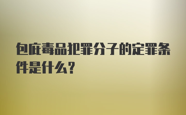 包庇毒品犯罪分子的定罪条件是什么？