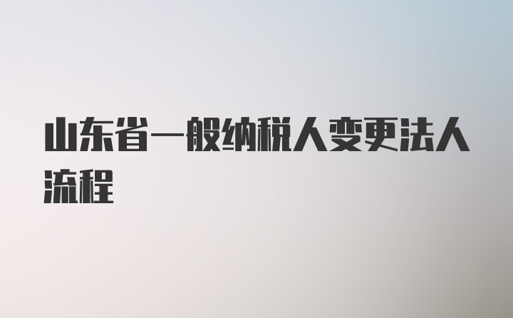 山东省一般纳税人变更法人流程