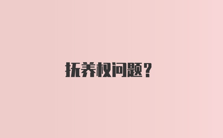 抚养权问题?