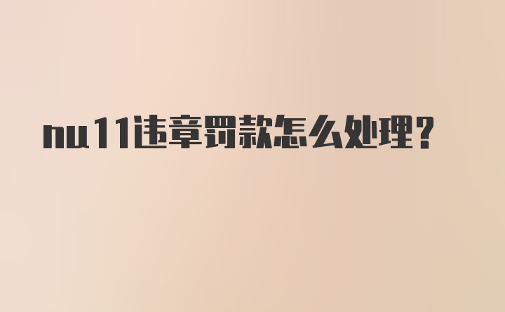 nu11违章罚款怎么处理？