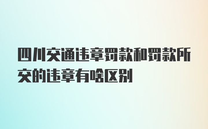 四川交通违章罚款和罚款所交的违章有啥区别