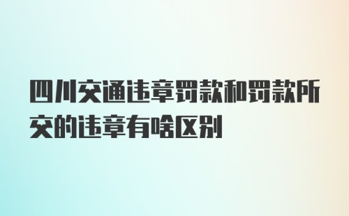 四川交通违章罚款和罚款所交的违章有啥区别