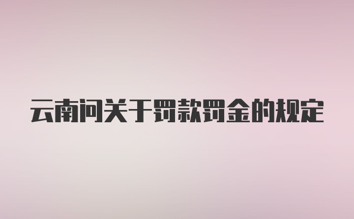 云南问关于罚款罚金的规定