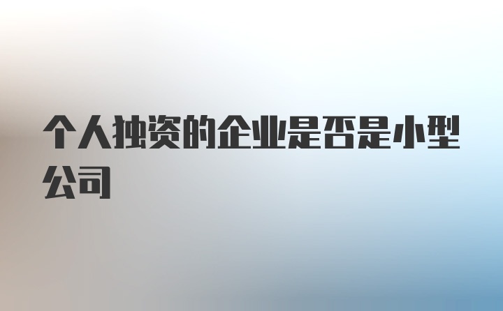 个人独资的企业是否是小型公司