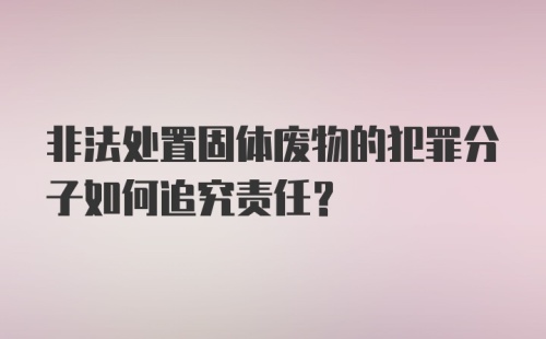 非法处置固体废物的犯罪分子如何追究责任？