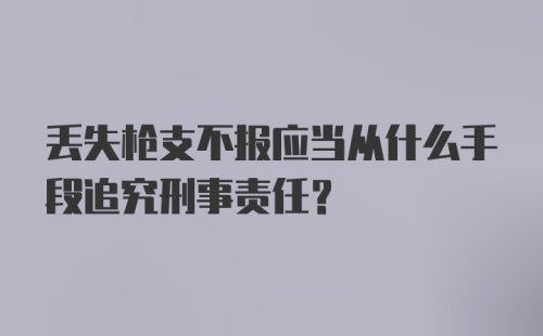 丢失枪支不报应当从什么手段追究刑事责任？