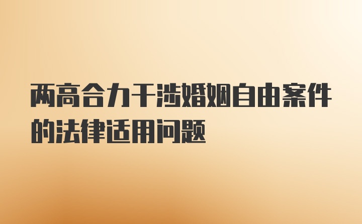 两高合力干涉婚姻自由案件的法律适用问题