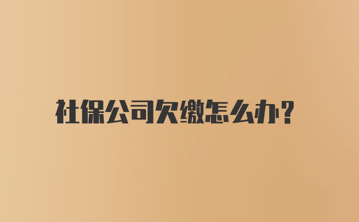 社保公司欠缴怎么办？