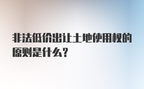 非法低价出让土地使用权的原则是什么?