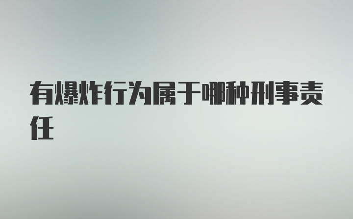 有爆炸行为属于哪种刑事责任