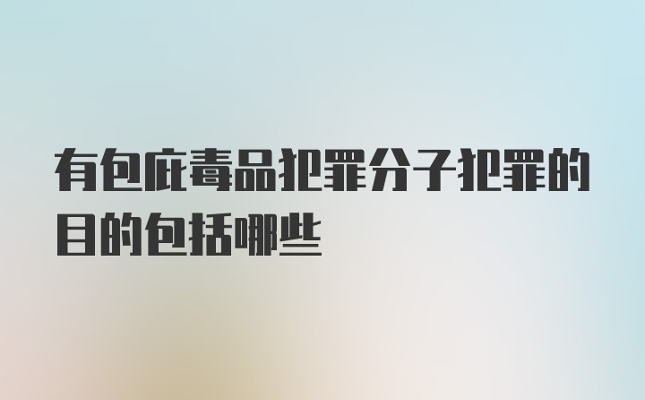 有包庇毒品犯罪分子犯罪的目的包括哪些