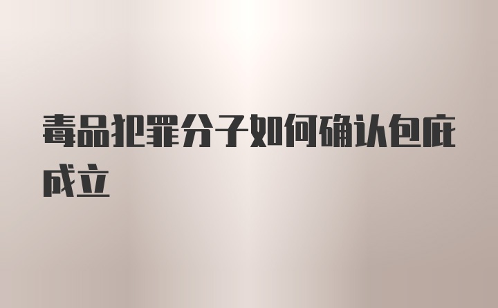 毒品犯罪分子如何确认包庇成立