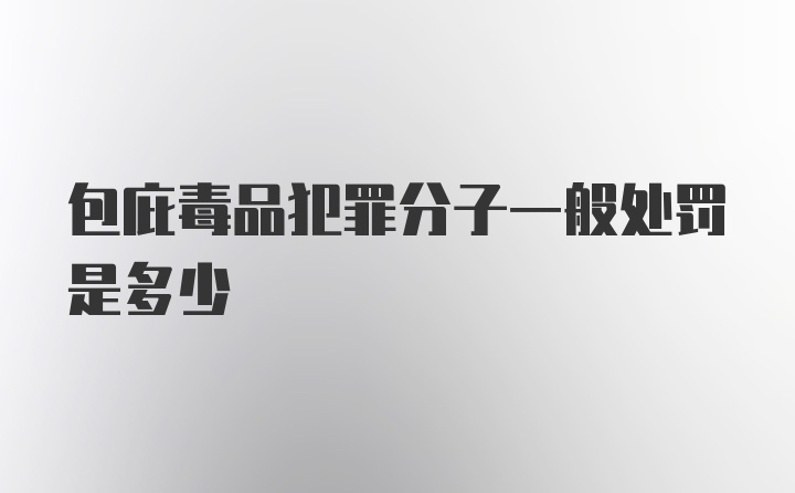 包庇毒品犯罪分子一般处罚是多少