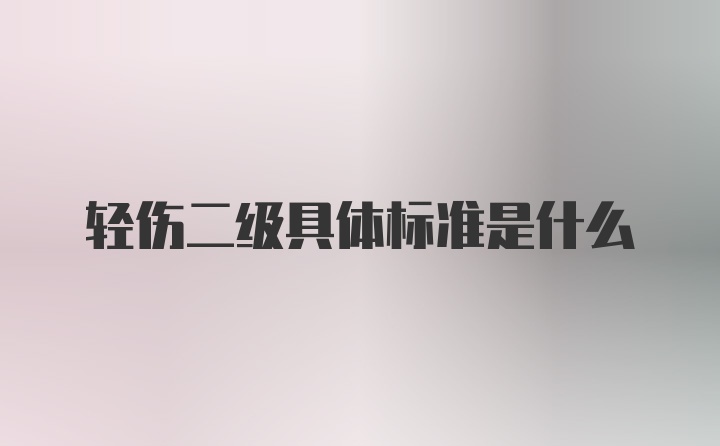 轻伤二级具体标准是什么