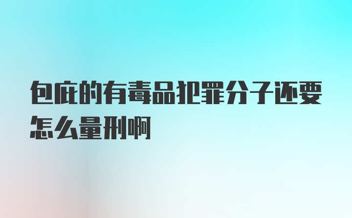 包庇的有毒品犯罪分子还要怎么量刑啊