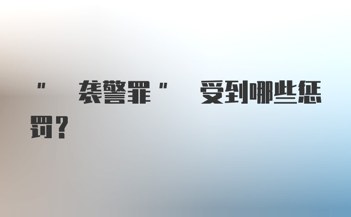 " 袭警罪" 受到哪些惩罚?