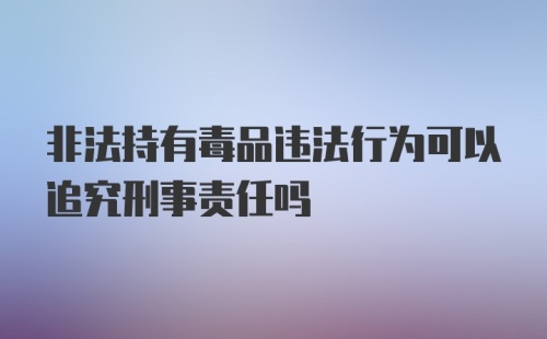 非法持有毒品违法行为可以追究刑事责任吗