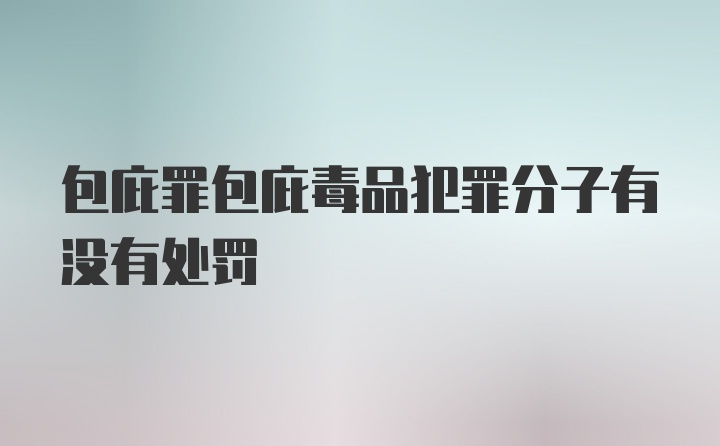 包庇罪包庇毒品犯罪分子有没有处罚