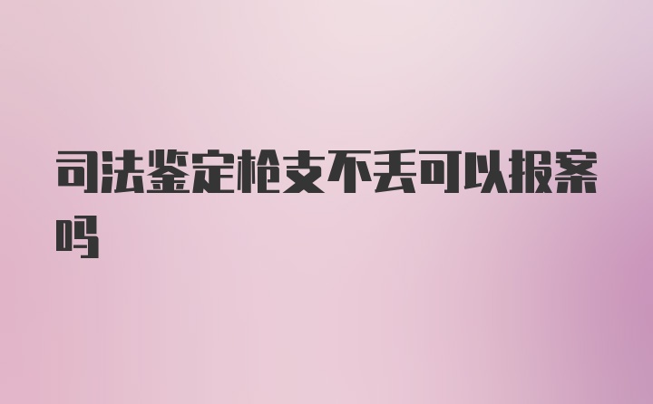 司法鉴定枪支不丢可以报案吗