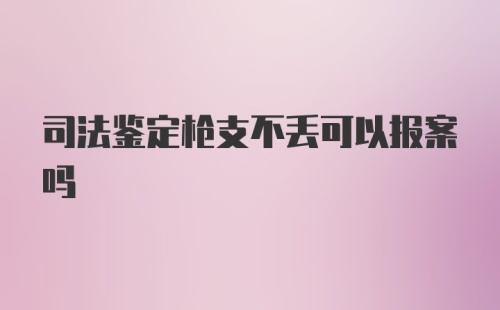 司法鉴定枪支不丢可以报案吗